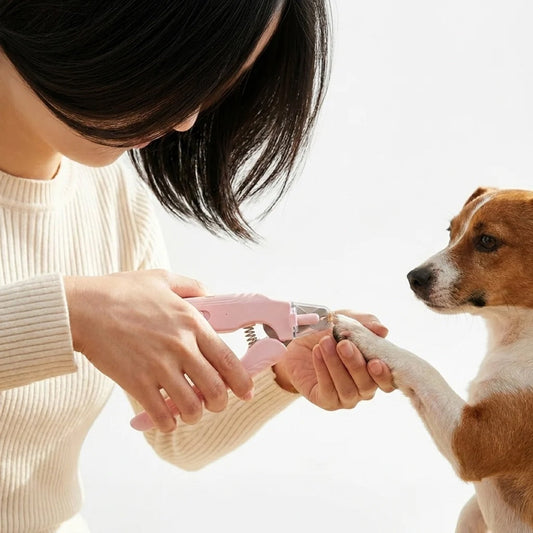 A feeding routine that actually sticks